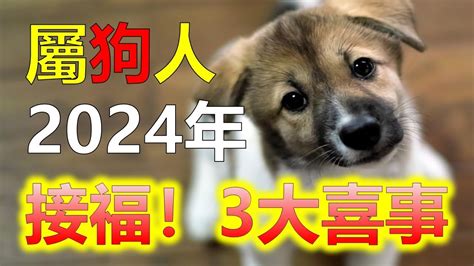 屬狗的吉祥物|屬狗的吉祥物是什麼？探索狗年運勢與開運吉祥物